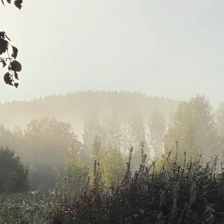 게스트하우스 Kartano Kievari 3*