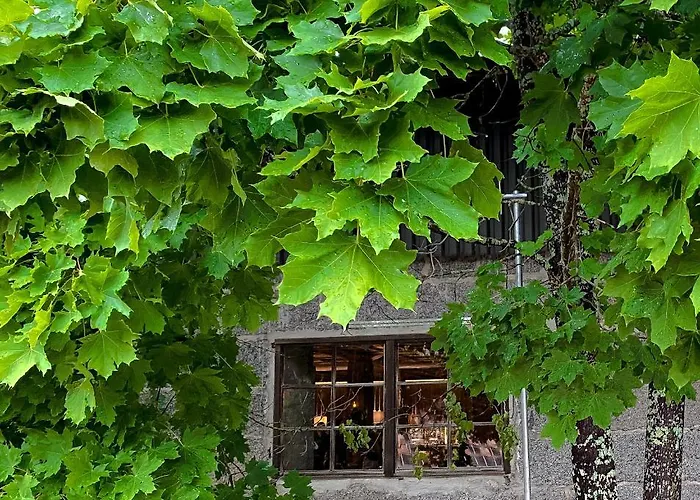 Kartano Kievari Äänekoski