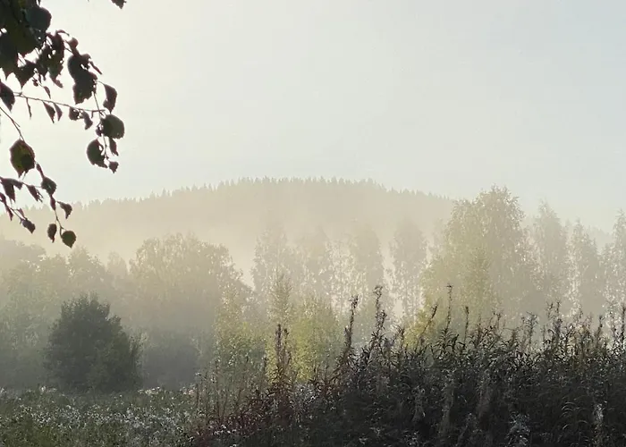 Maison d'hôtes Kartano Kievari 3*